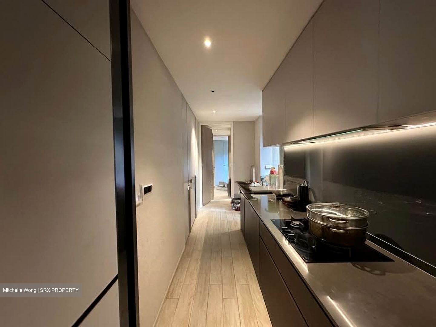 Amber Park (D15), Condominium #571853681